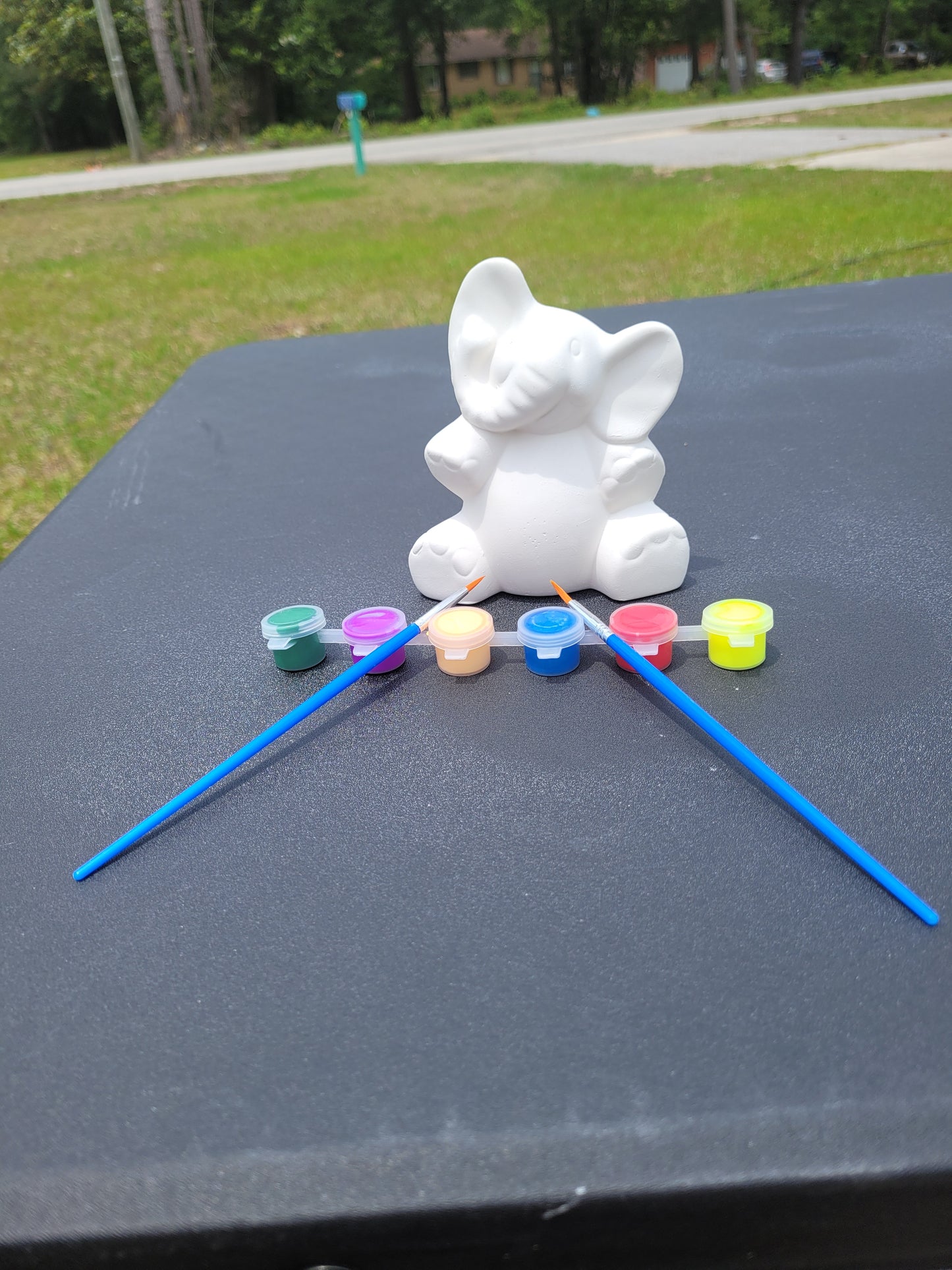 Paint Kit with Elephant