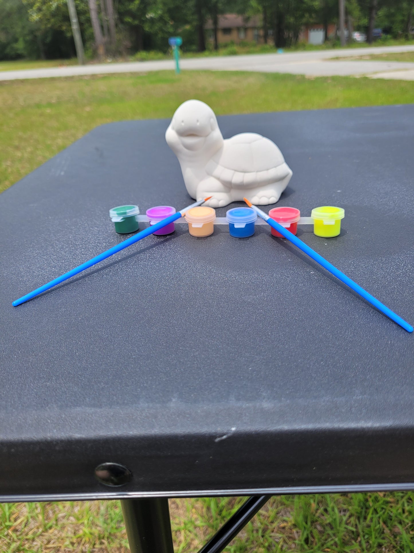 Happy turtle paint kit