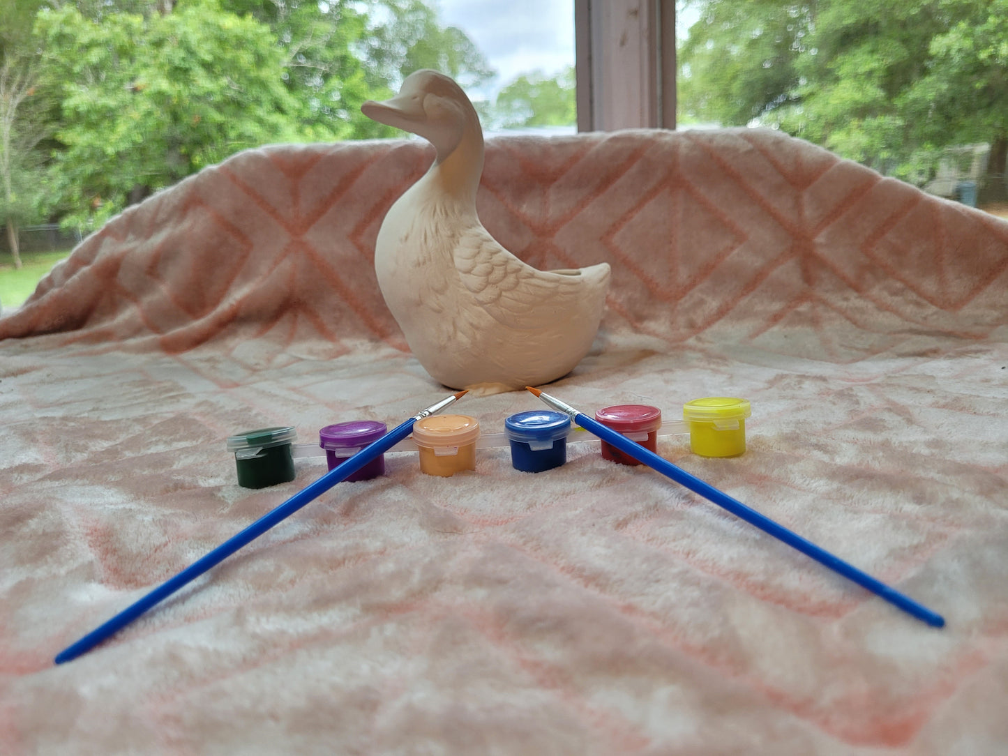 Duck, Duck Goose paint kit