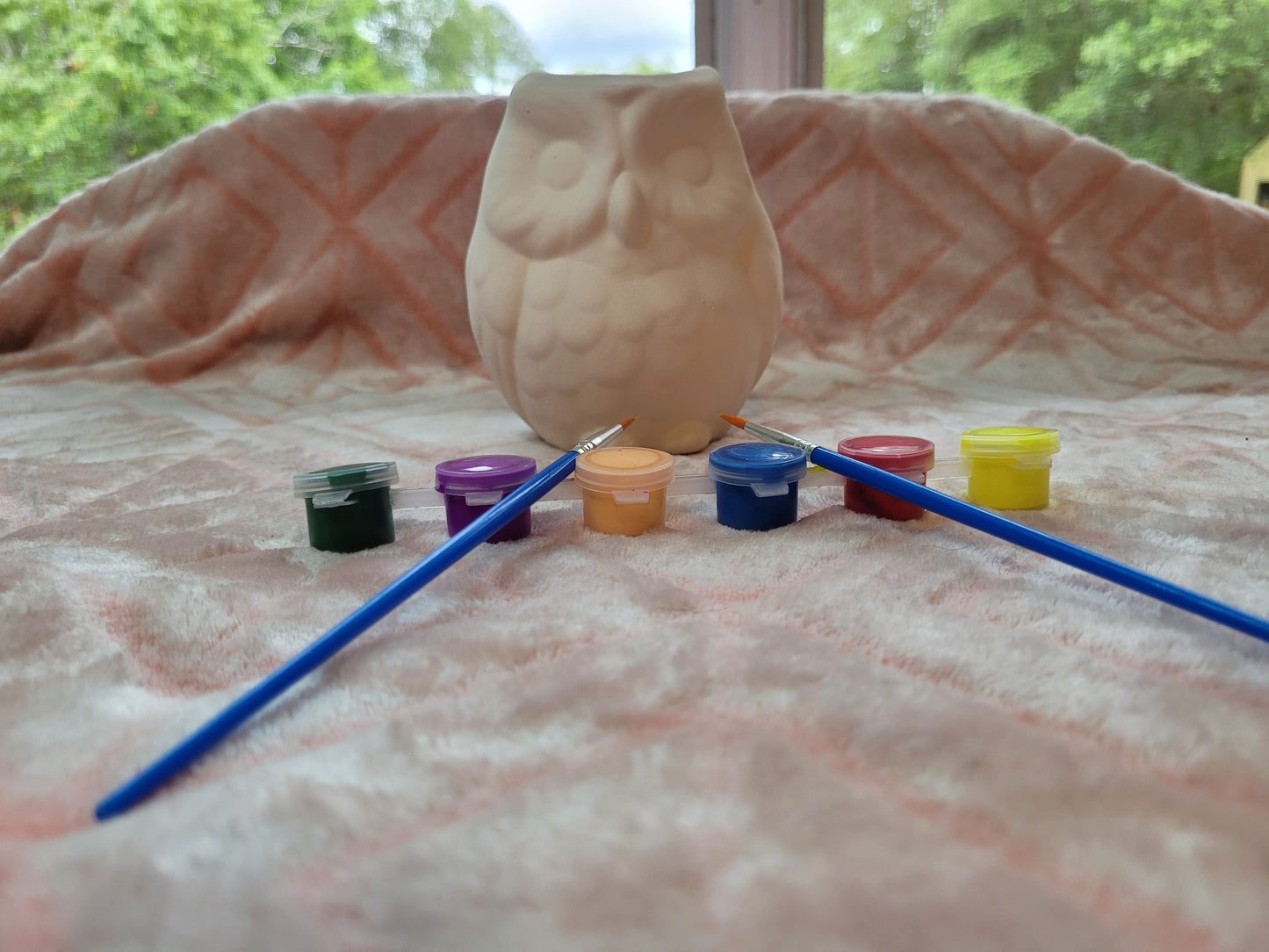 Owl planter paint kit