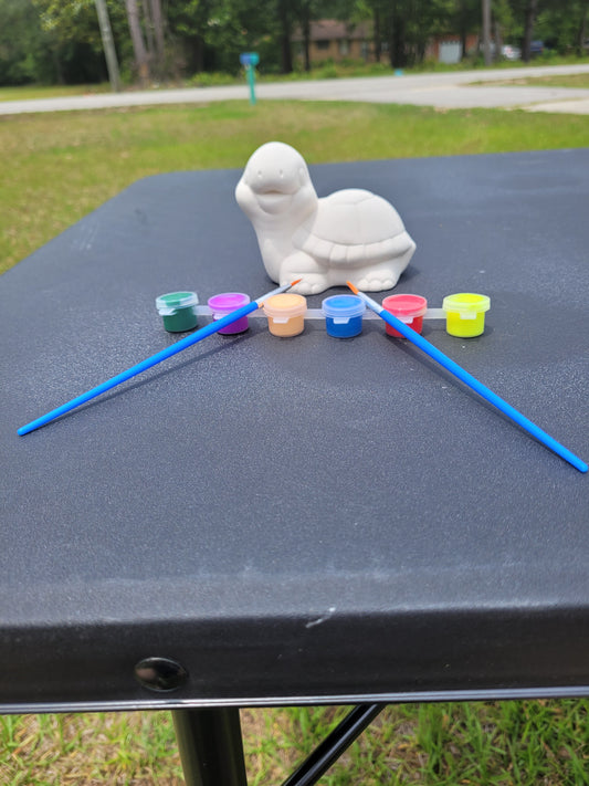 Ceramic Turtle Paint Kit